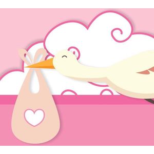 Geboortetegel op maat meisje met vliegende ooievaar 15 x 15 cm - kraamcadeau - geboorte cadeau - baby geboorte cadeau