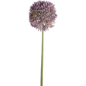 Emerald Allium/Sierui kunstbloem - losse steel - lila paars - 65 cm - Natuurlijke uitstraling