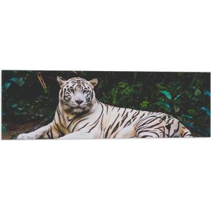 WallClassics - Vlag - Witte Tijger in de Jungle - 90x30 cm Foto op Polyester Vlag