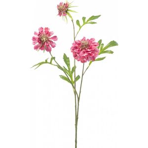 Fleurdirect Kunstbloem Scabiosa - Kunststof - Roze - 0 x 62 x 0 cm (BxHxD)