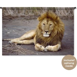 Wandkleed Leeuwen - Liggende leeuw in Afrika Wandkleed katoen 180x120 cm - Wandtapijt met foto XXL / Groot formaat!