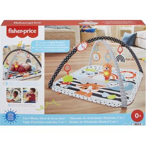 Fisher-Price Baby Muziek Gym 3 in 1 - Pasgeboren baby speelgoed