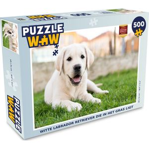 Puzzel Witte Labrador Retriever die in het gras ligt - Legpuzzel - Puzzel 500 stukjes