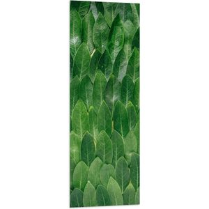 WallClassics - Vlag - Groene Blaadjes - 40x120 cm Foto op Polyester Vlag