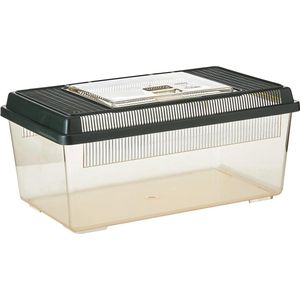 Faunarium, multifunctionele container voor reptielen, amfibieën, muizen en insecten, medium plat, 36 x 22 x 16,5 cm