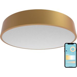 Gologi Slimme Plafondlamp – Plafondlampen – LED RGB – Plafonniere – Industrieel – Slaapkamer & Woonkamer – Ø 30cm – Goud