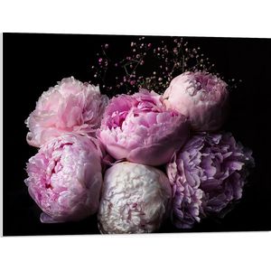WallClassics - PVC Schuimplaat - Roze/Paarse Bloemen tegen Zwarte Achtergrond - 80x60 cm Foto op PVC Schuimplaat (Met Ophangsysteem)