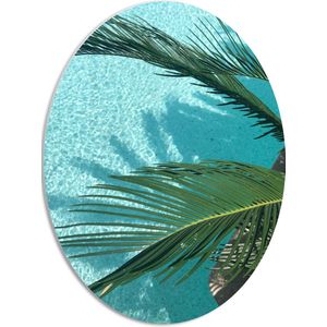 WallClassics - PVC Schuimplaat Ovaal - Palmbladeren Hangend boven Zwembad - 42x56 cm Foto op Ovaal (Met Ophangsysteem)