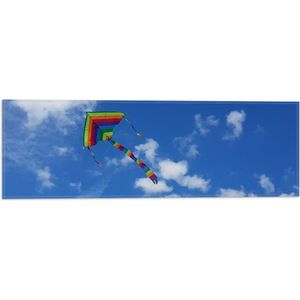 WallClassics - Vlag - Regenboog Vlieger in de Lucht - 60x20 cm Foto op Polyester Vlag