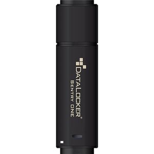 DataLocker Sentry ONE USB flash drive 128 GB USB Type-A 3.2 Gen 1 (3.1 Gen 1) Zwart