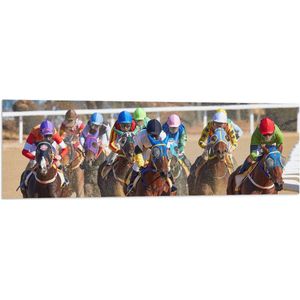 WallClassics - Vlag - Paarden Race - 120x40 cm Foto op Polyester Vlag