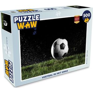 Puzzel Voetbal in het gras - Legpuzzel - Puzzel 500 stukjes