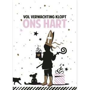 verlanglijstje Sinterklaas Meisje ansichtkaart-model op stevig papier