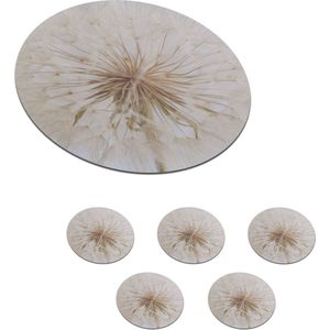 Onderzetters voor glazen - Rond - Bloemen - Paardenbloem - Design - 10x10 cm - Glasonderzetters - 6 stuks
