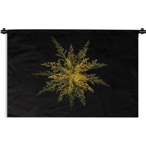 Wandkleed Planten op een zwarte achtergrond - Een goud-staafbloem op de zwarte achtergrond Wandkleed katoen 150x100 cm - Wandtapijt met foto