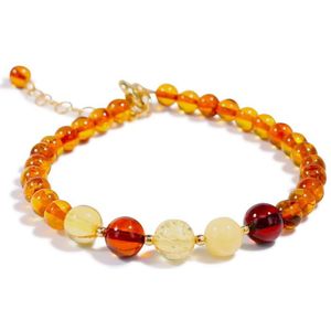 Brigada barnsteen-amber armband 4 kleuren barnsteen met zilveren sterling 925 18 karaat vergulde sluiting