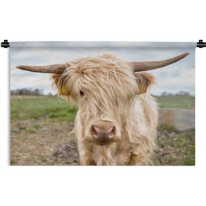 Wandkleed Schotse hooglander - Wit gekleurde Schotse hooglander in het weiland Wandkleed katoen 90x60 cm - Wandtapijt met foto