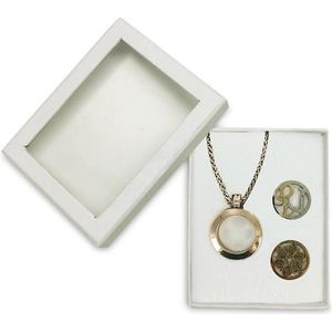 Silventi Lockits Gift Set 989900116 Stalen Collier set 33 mm - Love & Fantasy - Zilverkleurig / Goudkleurig / Roségoudkleurig