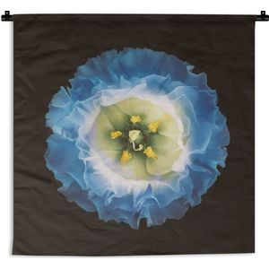 Wandkleed Planten op een zwarte achtergrond - Een close up van een blauwe bloem op een zwarte achtergrond Wandkleed katoen 150x150 cm - Wandtapijt met foto