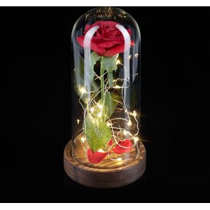 Relaxdays Eeuwige roos in stolp - liefdescadeau - met LED - eeuwige bloem - in glas - rood