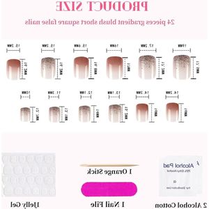 Blush Ombre Press-on-Nagels - 24 Stuks Kort