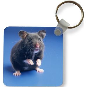 Sleutelhanger - Uitdeelcadeautjes - Donkergrijze hamster blauwe achtergrond - Plastic
