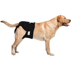 Loopsheidbroekje Hond - S - Hondenluier - Zwart - Taille omvang: 21-28 cm