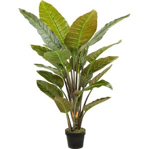 Kunstplant Strelitzia 135 cm