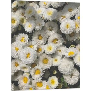 WallClassics - Vlag - Groepje Wit/ Gele Bloemetjes - 75x100 cm Foto op Polyester Vlag