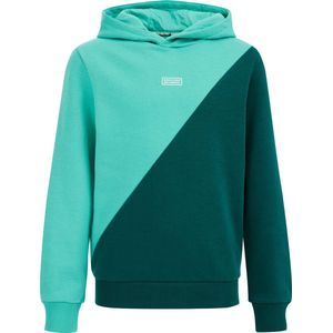 WE Fashion Jongens hoodie met colourblock