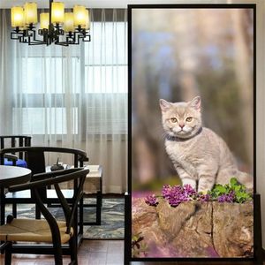 Raamfolie kat - poes - 60 x 120 cm