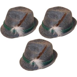 Oktoberfest 3x Grijze Tiroler hoedjes verkleedaccessoires voor volwassenen - Oktoberfest/bierfeest feesthoeden - Alpenhoedje/jagershoedje