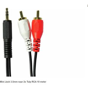 OTRONIC® Mini Jack 3.5mm naar 2x Tulp RCA 10 meter