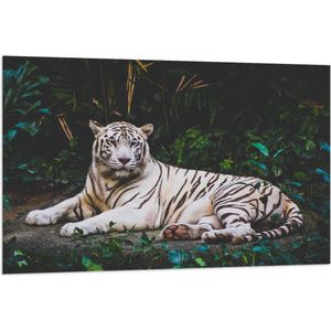WallClassics - Vlag - Witte Tijger in de Jungle - 120x80 cm Foto op Polyester Vlag