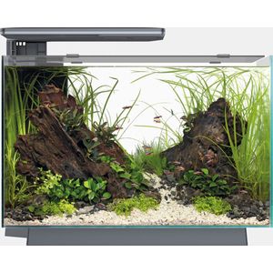 Superfish Quadro 70 Pro - Aquaria - Zwart