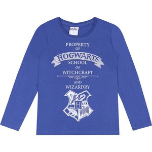 Blauwe en zilveren HOGWARTS Harry Potter blouse