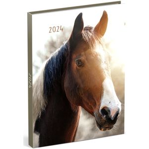 Lannoo Graphics - Diary 2024 - Agenda 2024 - MY FAVOURITE FRIENDS - Horse Brown - 7d/2p - 4Talig - 110 x 150 mm