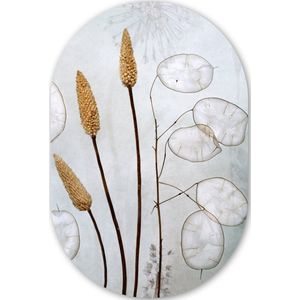 Stilleven - Droogbloemen - Natuur Kunststof plaat (5mm dik) - Ovale spiegel vorm op kunststof