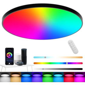 Plafondlamp RGB LED Dimbaar 24W 2400LM met Afstandsbediening IP44 voor Hal Slaapkamer Woonkamer Badkamer Keuken - Compatibel met Alexa APP Google Assistant