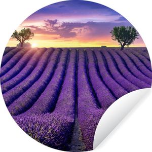 WallCircle - Behangcirkel - Bloemen - Zonsondergang - Lavendel - Landschap - Bomen - Behang rond - Zelfklevend behang - 80x80 cm - Behangcirkel zelfklevend - Ronde wanddecoratie - Cirkel behang