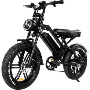 Vilolux® - V20 - 2024 Model - Rijklaar - Elektrische Fatbike - Fatbikes - E-Bike - 25 km/u - 250W - 7 Versnellingen - Kettingslot - Telefoonhouder - Voetsteunen - 1 Jaar Garantie - Zwart - Legaal