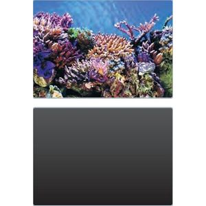 Superfish foto achterwand 2in1 SF Deco Poster A5 120x61cm