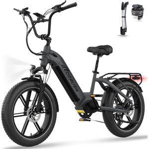 ECORUSH Elektrische Fiets ECO R6 - Trendy 20*4.0 Inch Fat Tire City Commuter EBike met Afneembare 48V 15.6Ah Lithium Batterij - Mountain E-Bike met 250W Motor - 7 Versnellingen - IP54 Waterdicht
