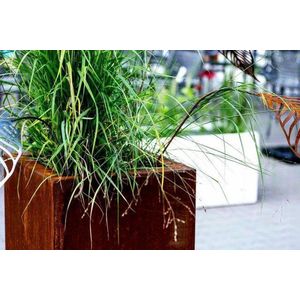 Intergard Cortenstaal plantenbak bloembak vierkant 100x100cm