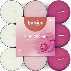 Bolsius - Geurtheelicht - 18 stuks per verpakking - Orchid Scented