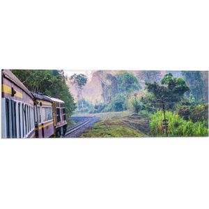 WallClassics - Vlag - Thaise Trein door Groen Natuurgebied in Thailand - 60x20 cm Foto op Polyester Vlag