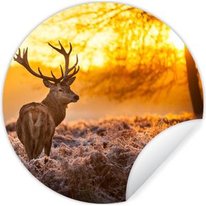 WallCircle - Behangcirkel - Zelfklevend behang - Hert - Zonsondergang - Bosdieren - Winter - 50x50 cm - Woondecoratie - Behangsticker