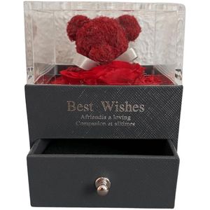 Jewelry Rose Box Rood Geschenk - Valentijn Cadeautje Voor Haar - Valentijn - Valentijnsdag - Valentijn Cadeautje Vrouw