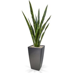 Sansevieria kunstplant 78 cm