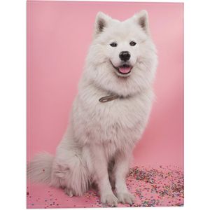 WallClassics - Vlag - Portret van Witte Hond tegen Roze Achtergrond met Confetti - 30x40 cm Foto op Polyester Vlag